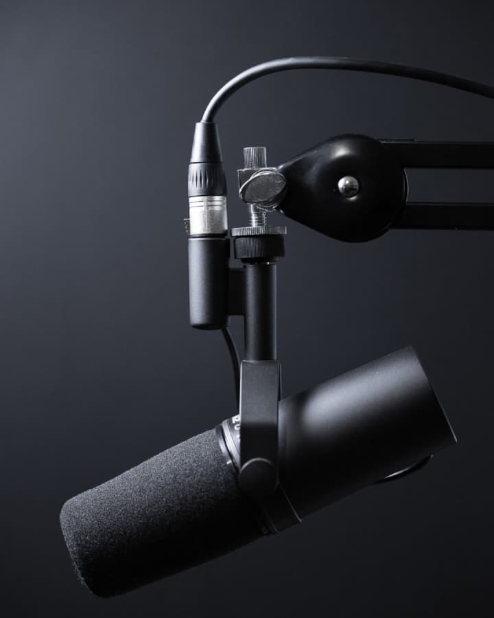 Professional Microphone